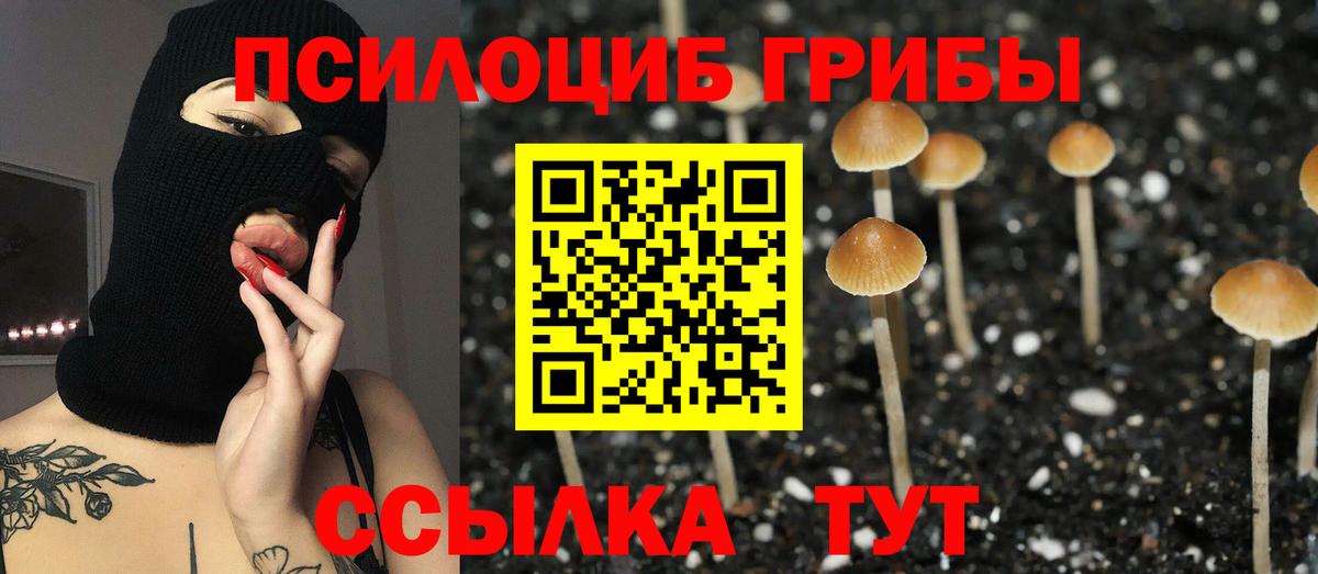 Псилоцибиновые грибы мицелий  Вход с VPN  Галлюциногенные грибы GOLDEN TEACHER  Ступино 